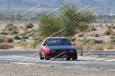 media/Oct-24-2025-Doghouse Garage (Fri) [[783d2ff07a]]/1-Advanced/Session 2 Turn 5 Tree of Life/